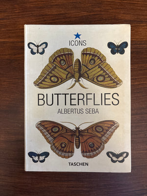 Butterflies & Insects by Albertus Seba