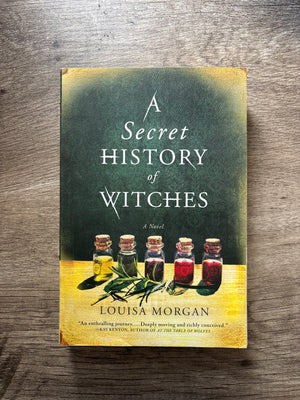 A Secret History of Witches: A Novel by Louisa Morgan